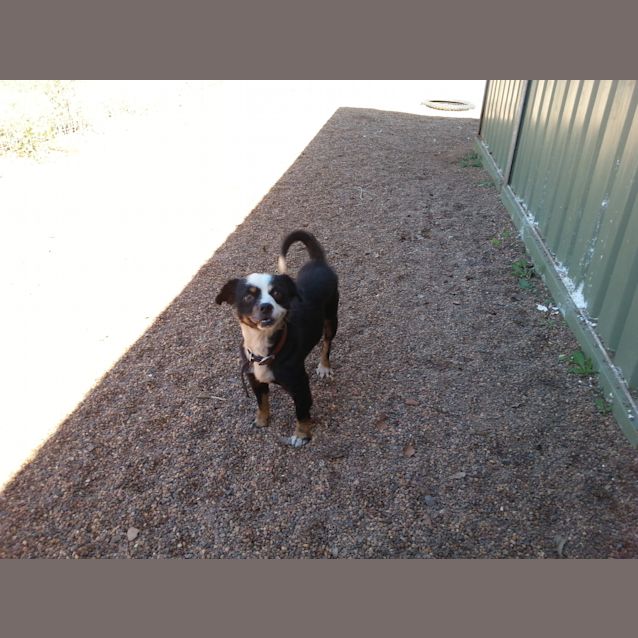 Photo of Michelangelo