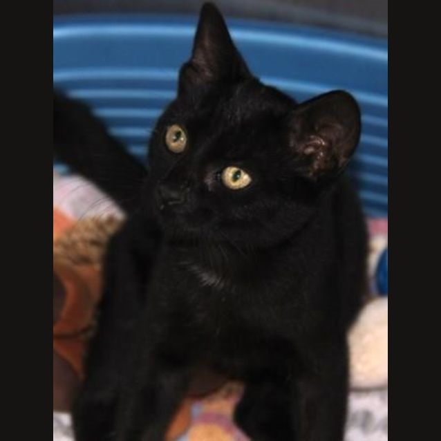 Photo of Annabelle