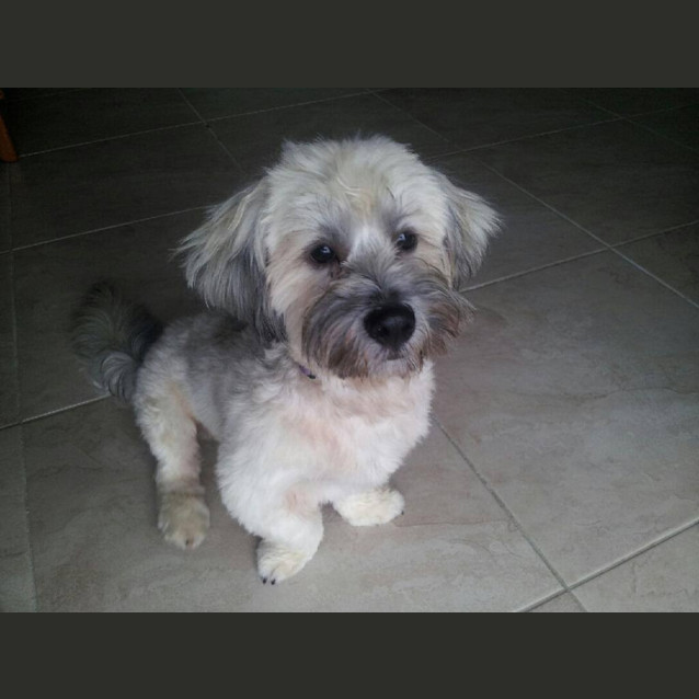 Photo of Walter