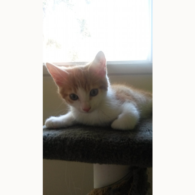 Photo of Charlie