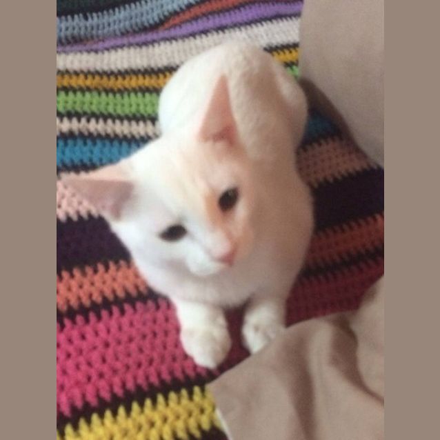 Photo of Bobbi