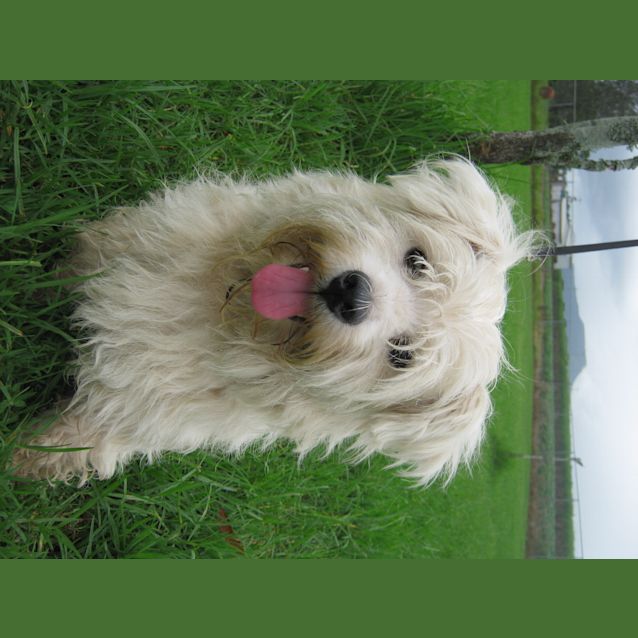 Photo of Charlie