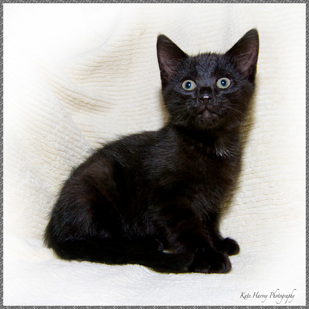 Photo of Faye