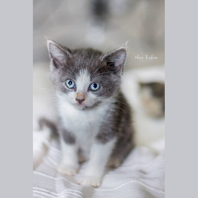 Photo of Buttons