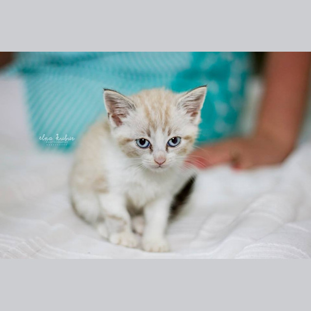 Photo of Champers