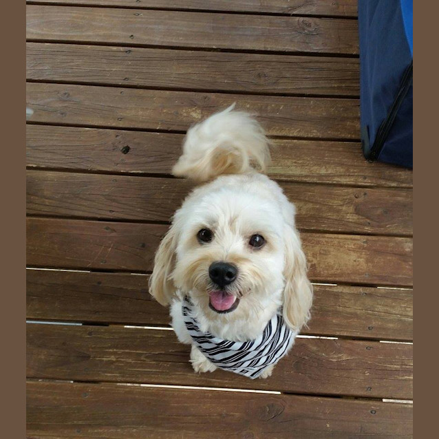 Photo of Charlie