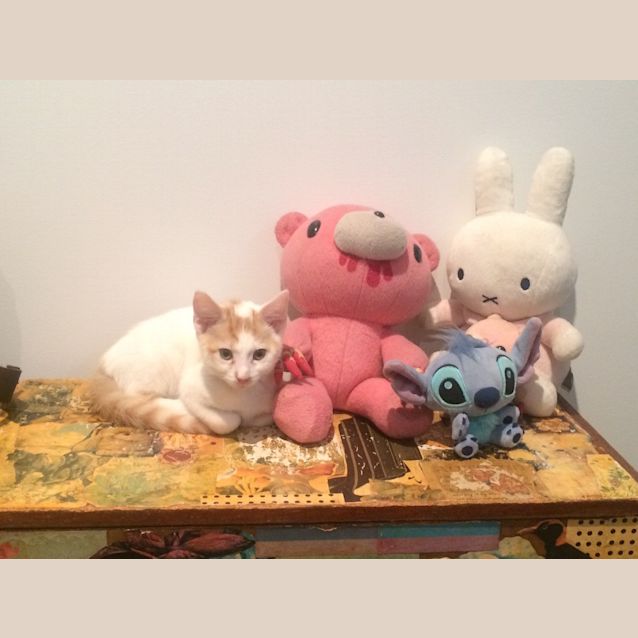 Photo of Pebbles (Are You My Bam Bam?)