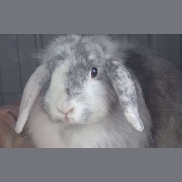 Photo of Miss Moneypenny