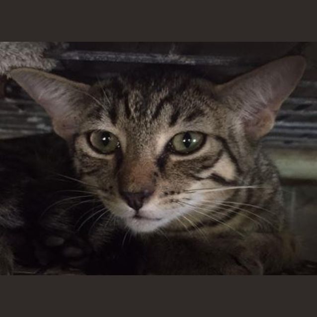 Photo of Betty Sue