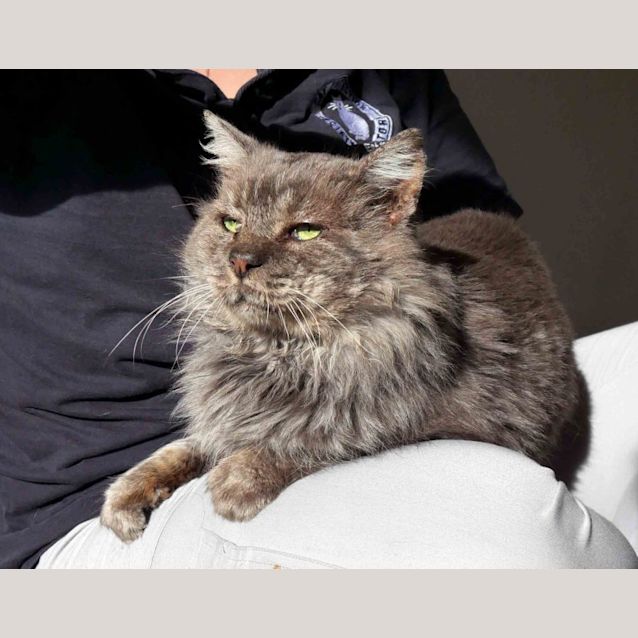 Photo of Barry Sta011414