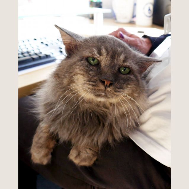 Photo of Barry Sta011414