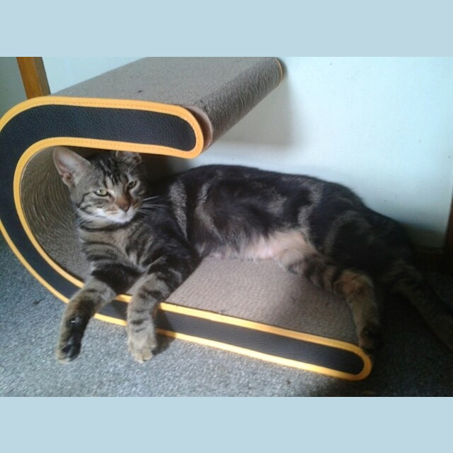 Photo of Hazel