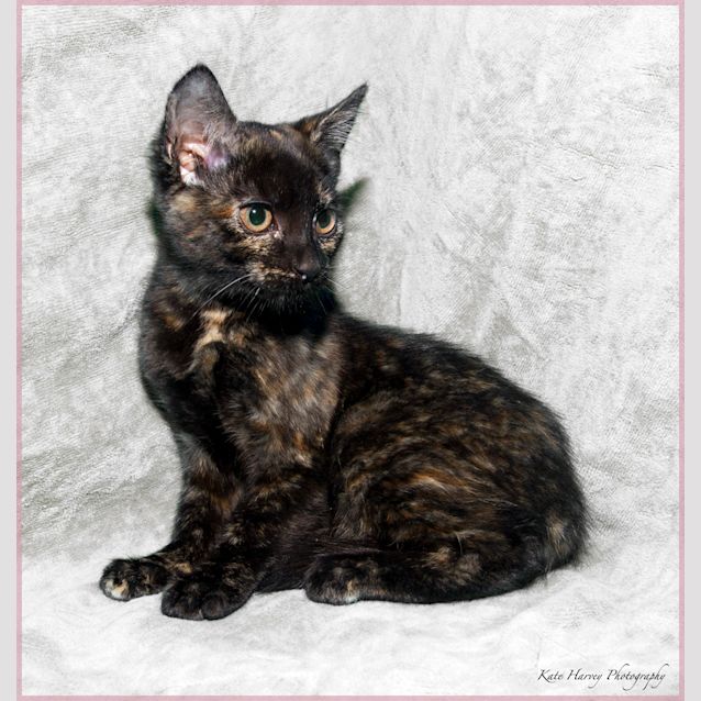 Photo of Patsy