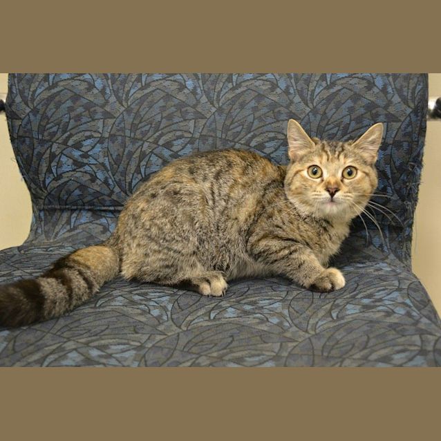 Photo of Boof Needs To Get Out Of The Pound