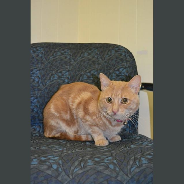 Photo of Jake Needs To Get Out Of The Pound!