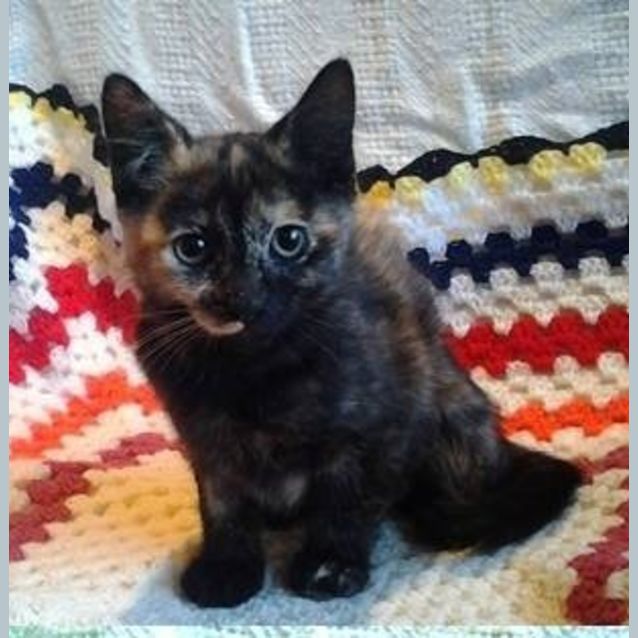 Photo of Tia