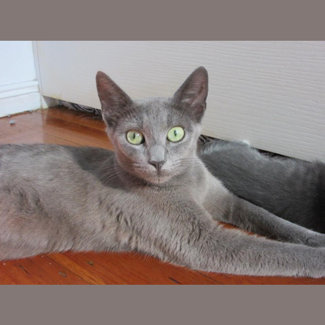 Photo of Anastasia