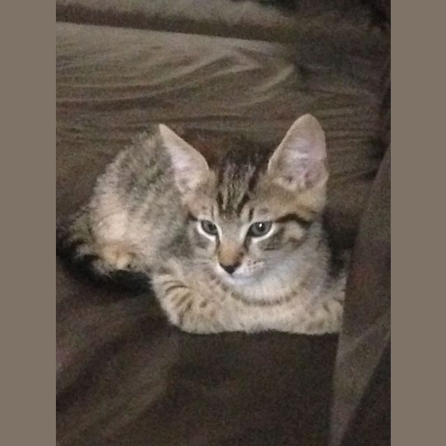 Photo of Zeus