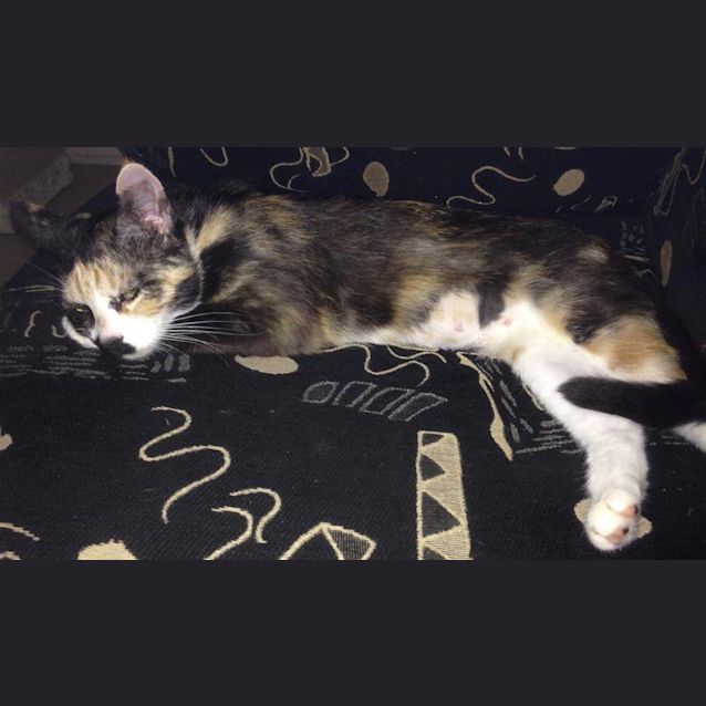 Photo of Baby