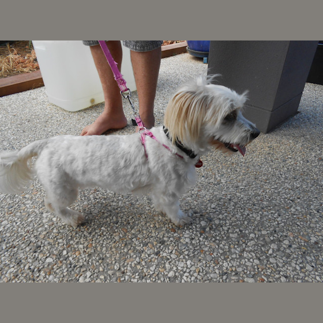 Photo of Evie