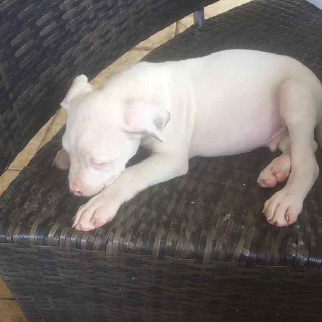 Photo of Thor