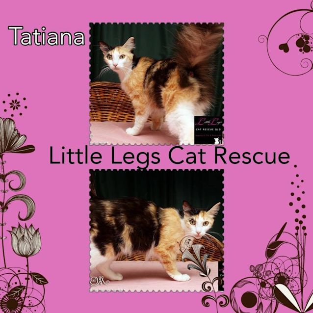 Photo of Tatiana 