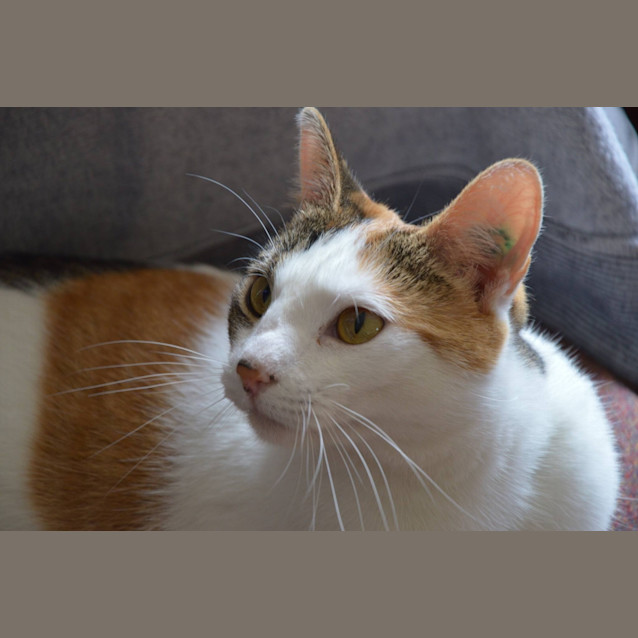 Photo of Irene