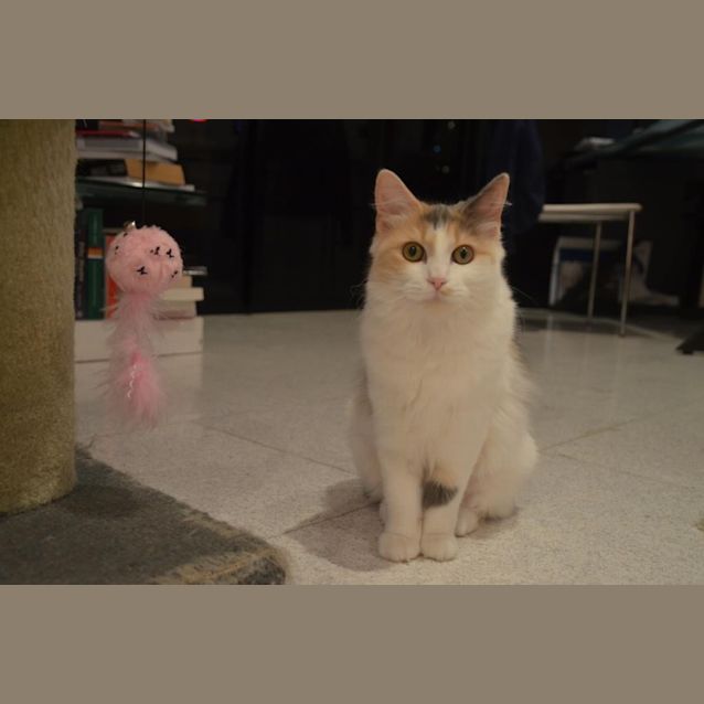 Photo of Sophie