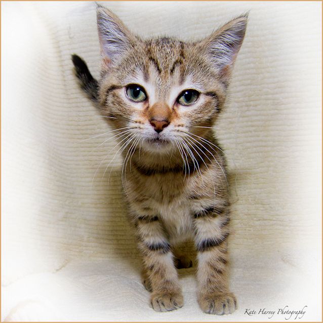 Photo of Tilly