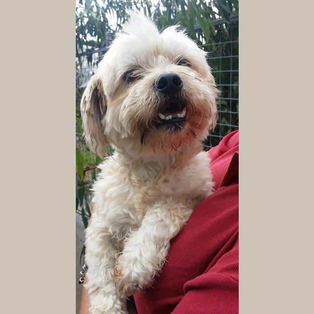 Photo of Millie