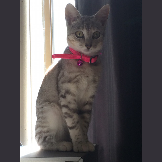 Photo of Isabella