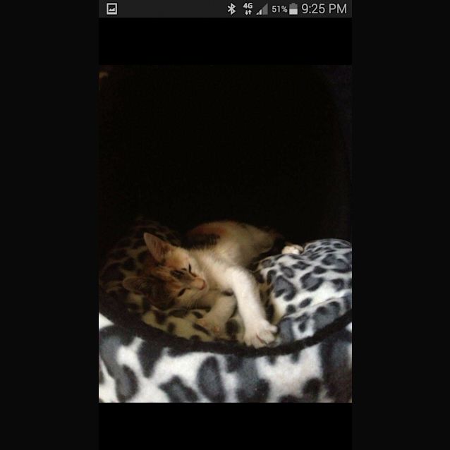Photo of Ziggy