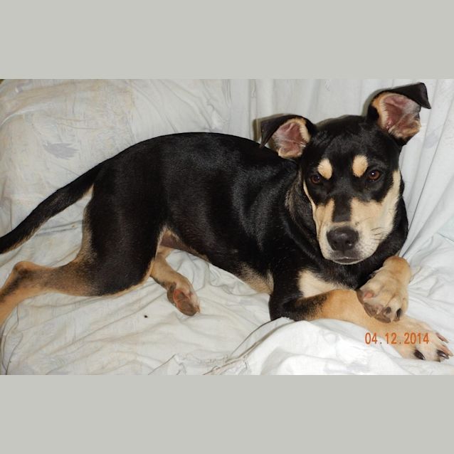 Photo of Dharma