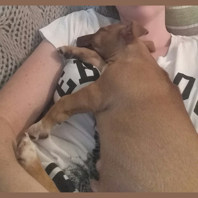 Photo of Toby 