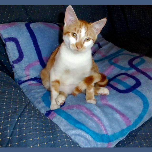 Photo of Arthur