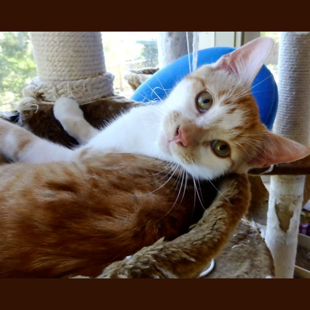 Photo of Arthur
