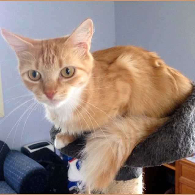 Photo of Nell