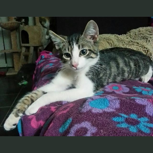 Photo of Otis (Mr Personality)