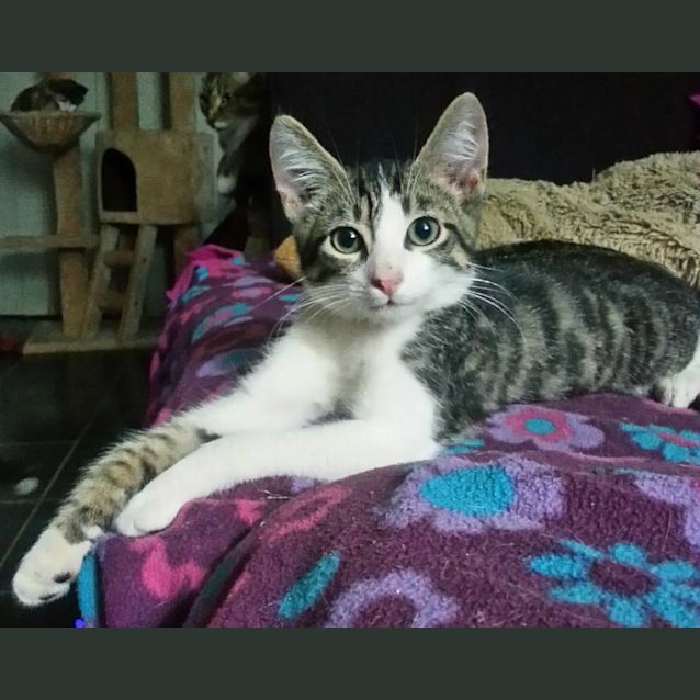 Photo of Otis (Mr Personality)