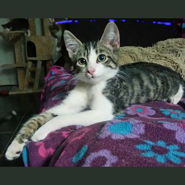 Photo of Otis (Mr Personality)