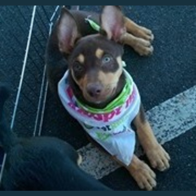 Photo of Bilbo