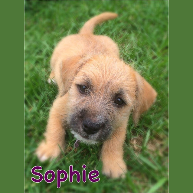 Photo of Sophie
