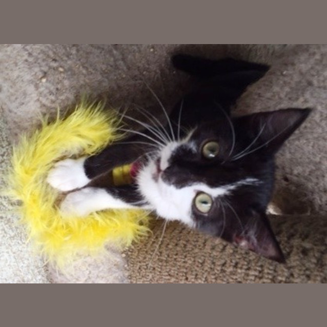 Photo of Squeek