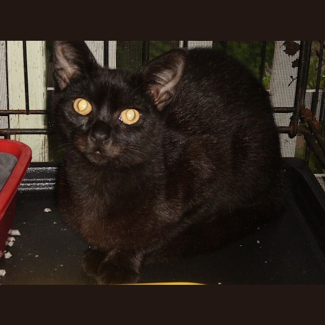 Photo of Lucky