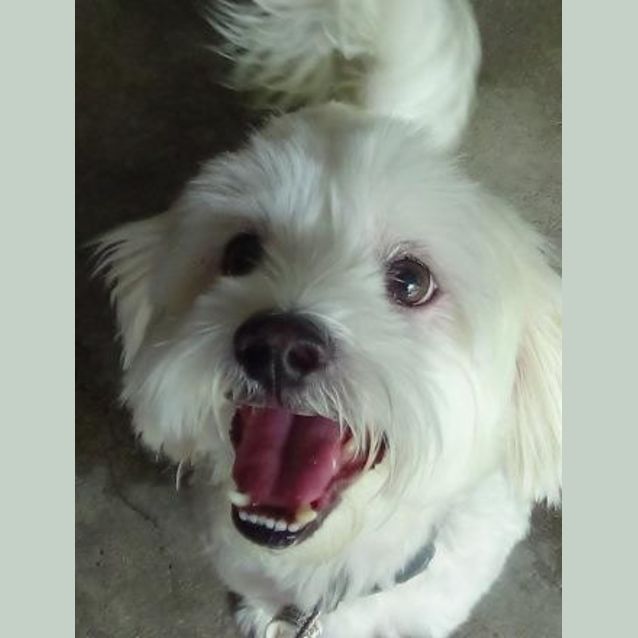 Photo of Captain