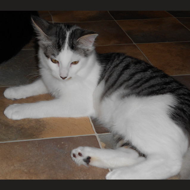 Photo of Bill