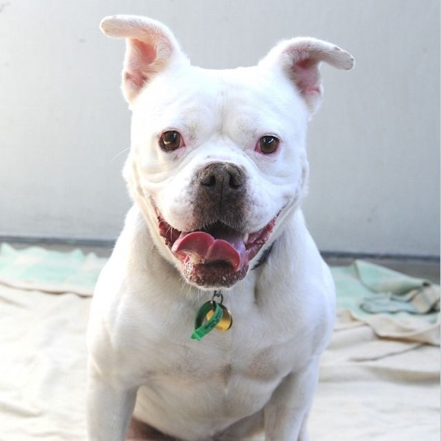 Photo of Missy