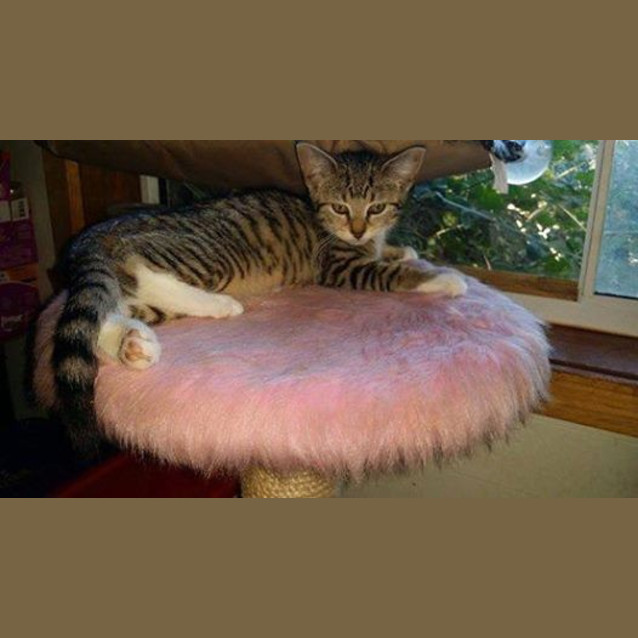 Photo of Sophie