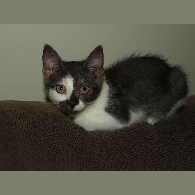 Photo of Shilo
