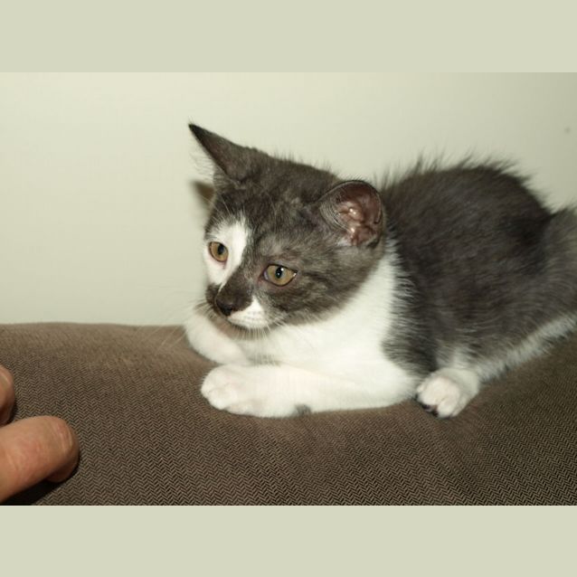 Photo of Shilo